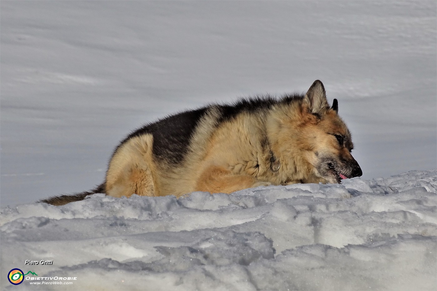 23 Dori assaggia neve ....JPG